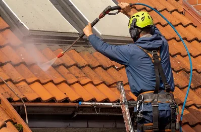 Démoussage et hydrofuge de toiture à Jardin